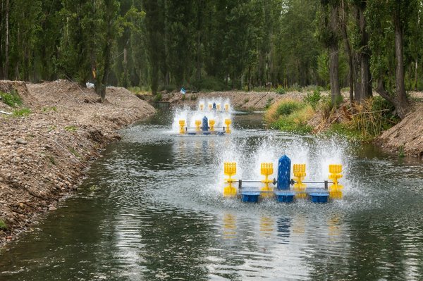 Quelles sont les techniques d'élevage durable pour les crevettes en aquaculture?